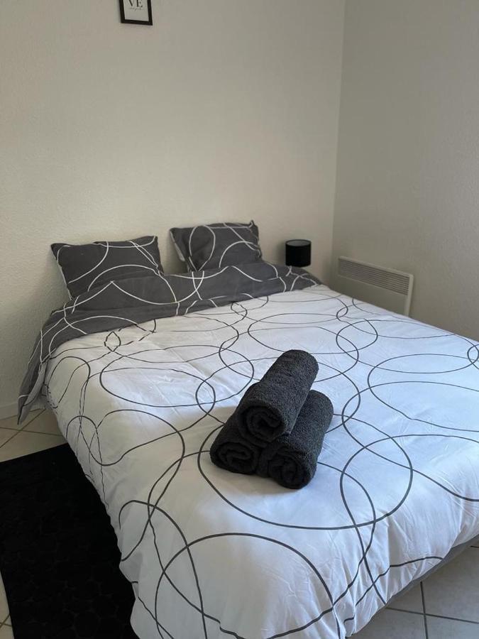 Logement Entier - Universite - Parking Privatif - Wifi Le Mans Exteriér fotografie